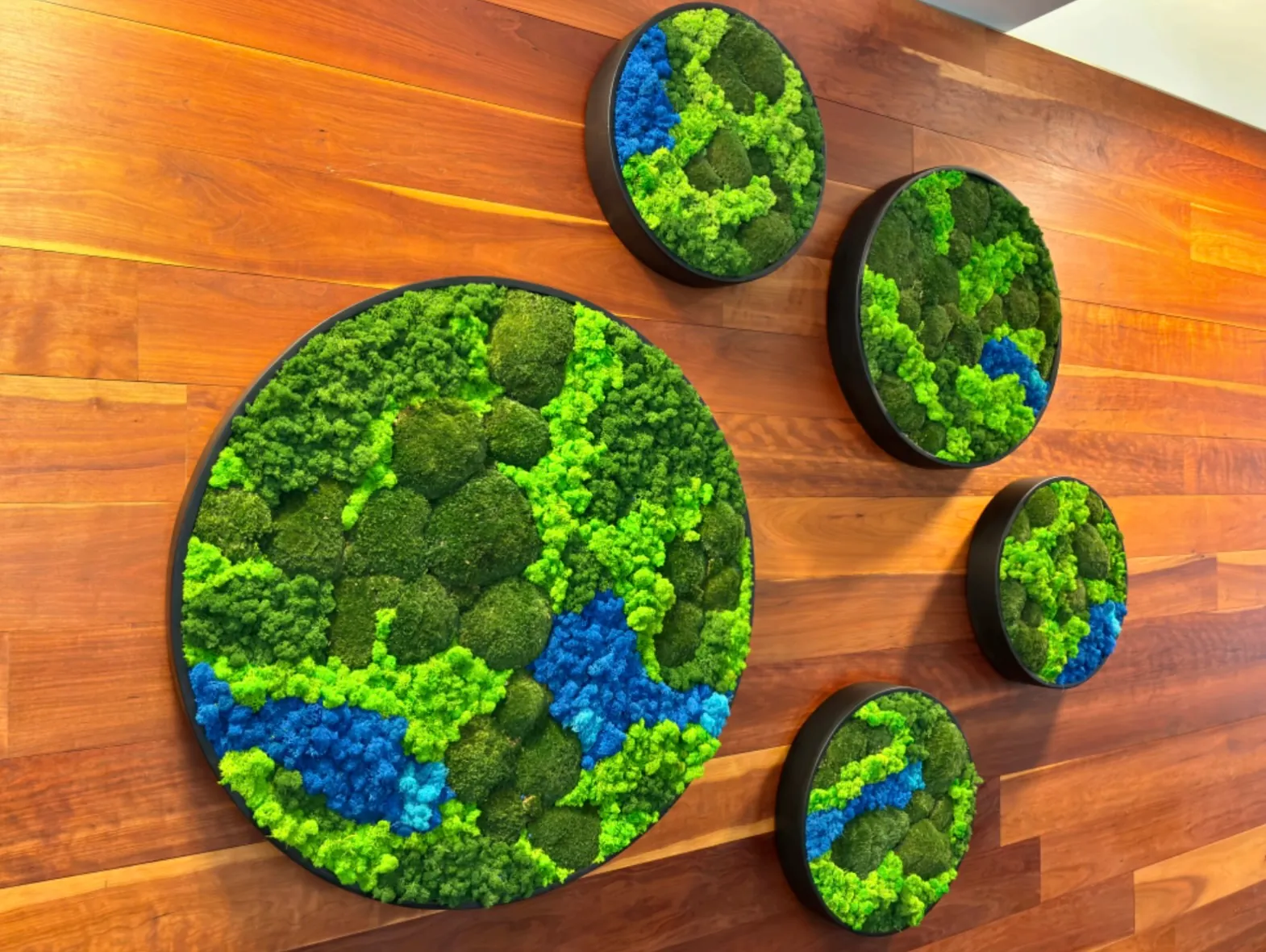 Round moss art pieces on a wood wall