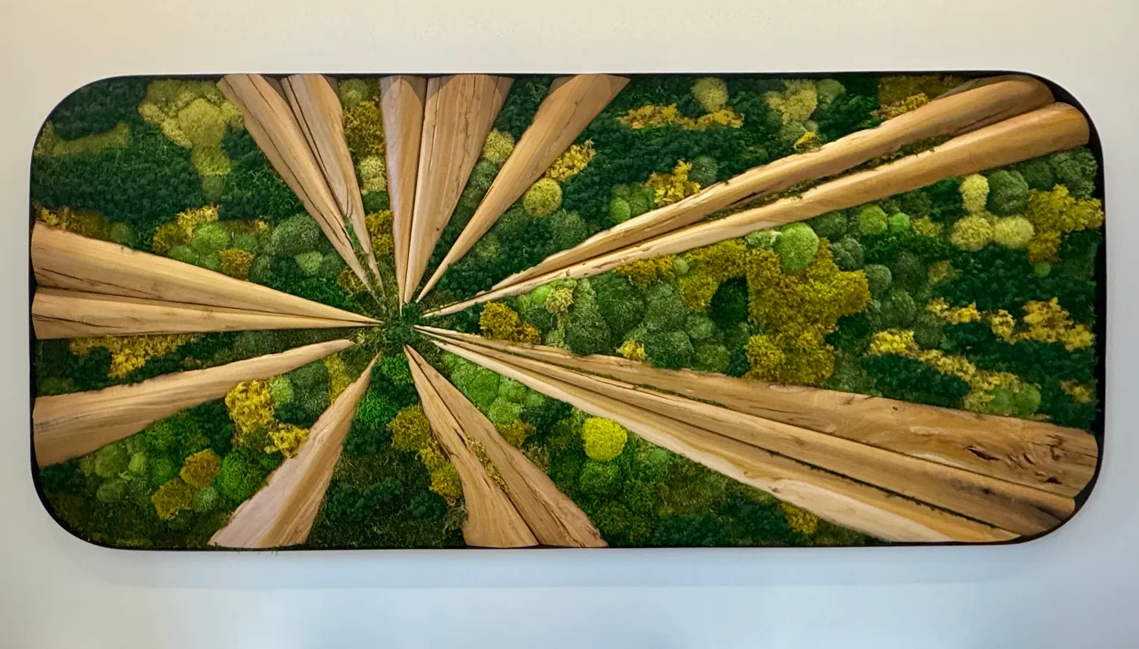 Preserved moss panel with natural wood in a sunburst pattern