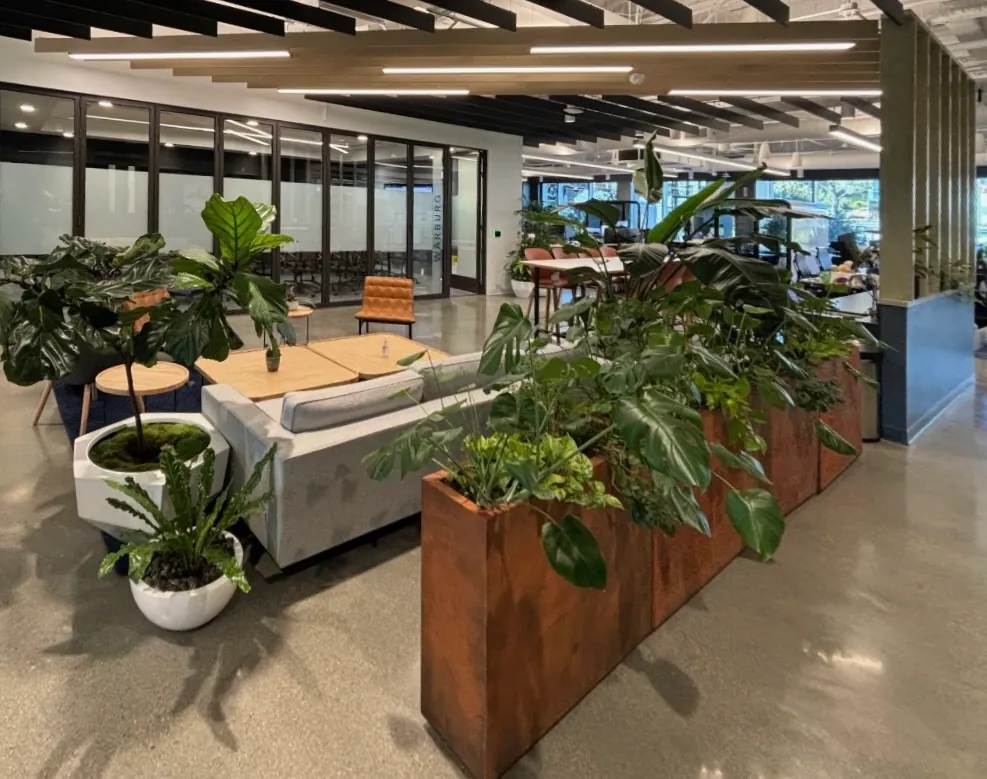 Open office with planters