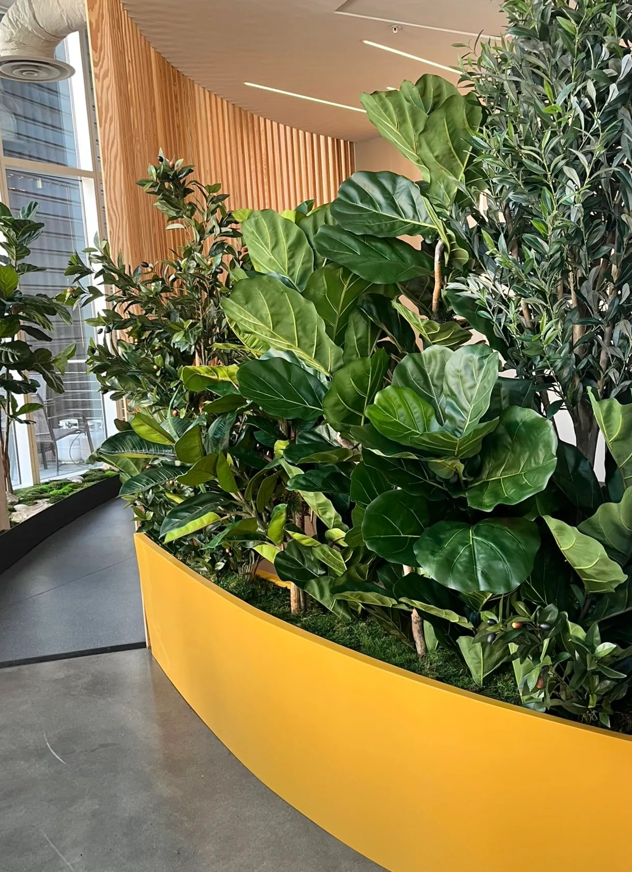 Curved planter with lush greenery