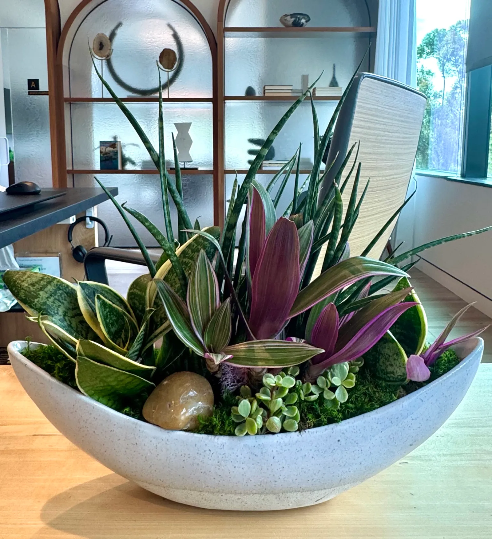 Succulent bowl arrangement
