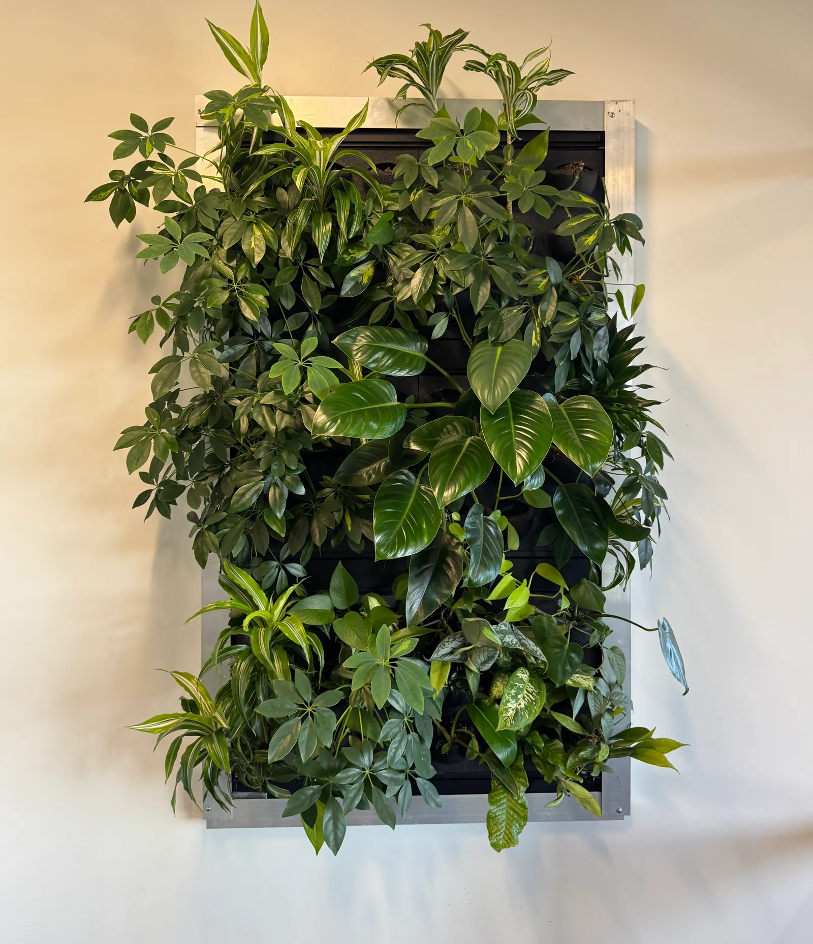 Living green wall panel