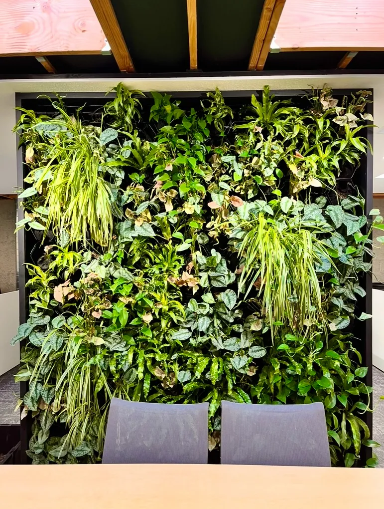 Living wall