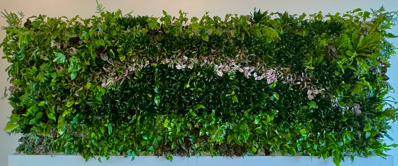 Living wall panel