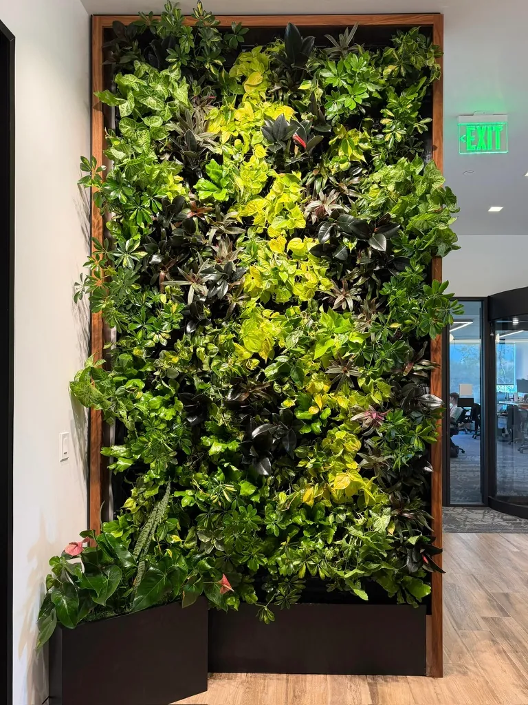 Tall living wall