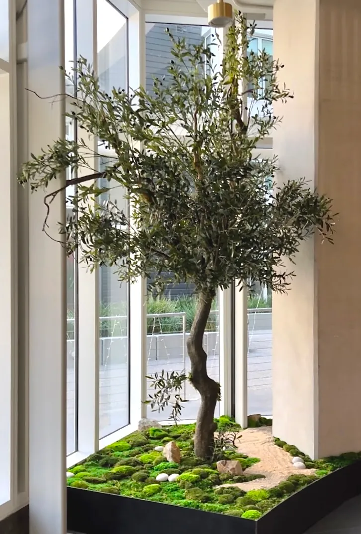 Silk olive tree in a planter