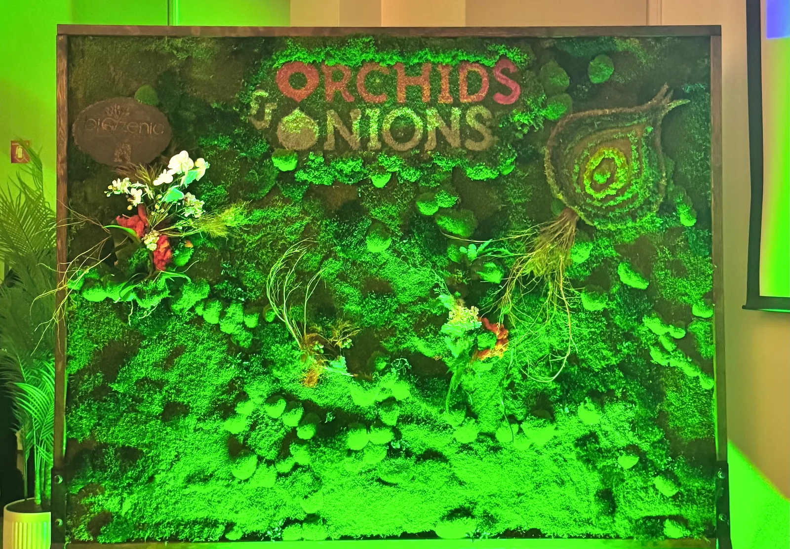 Living moss and plant installation for a design event