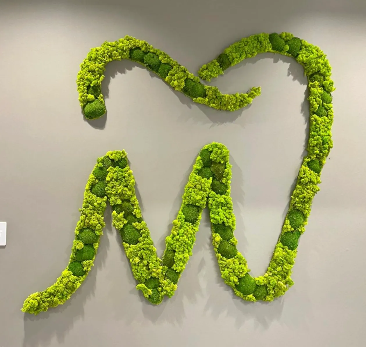 A logo shape formed in preserved moss